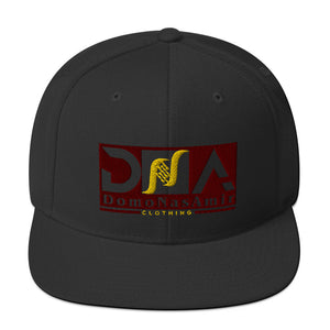 DNA Brand WTF Color Snapback Hat