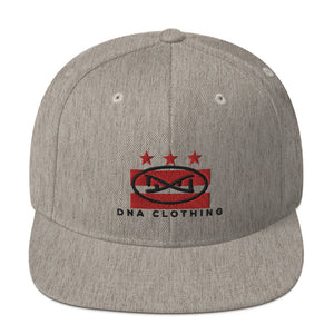 DNA DC Snapback Hat