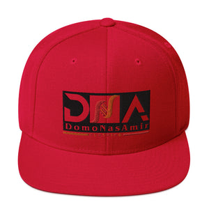 DNA Brand Snapback Hat