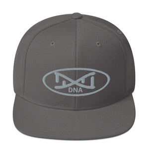 New DNA Brand Gray Snapback Hat