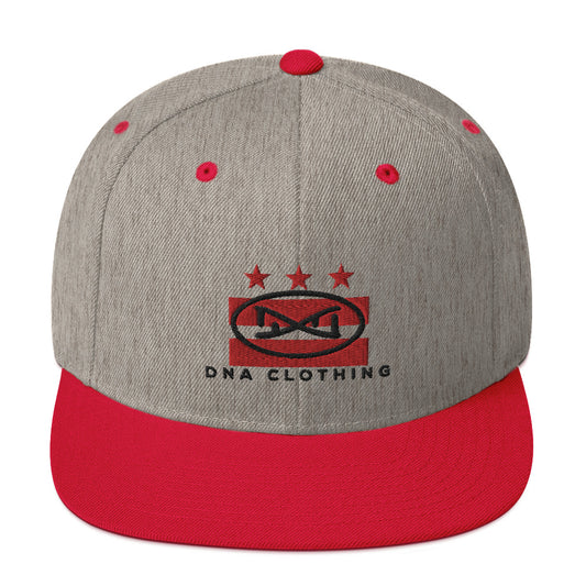 DNA DC City Snapback by DNA Branding